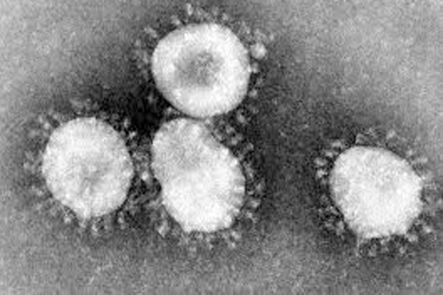 pesquisador-analisa-epidemia-do-coronavirus