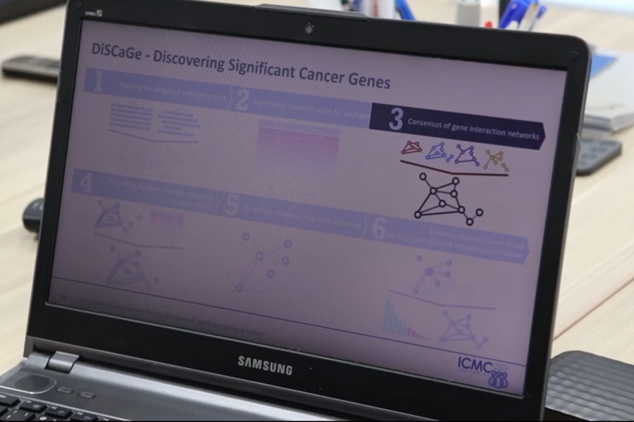 Modelos computacionais auxiliam na detecção de genes significativos para o câncer